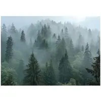 WALLARENA - Fotobehang - 400x280 cm - 3D natuur met bomen in de mist voor slaapkamer en woonkamer