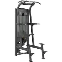 Toorx Professional Assisted Pull-up / Dip PLX-8400