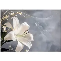 WALLARENA - Fotobehang - 200x140 cm - bloemen abstractie lelies slaapkamer salon vliesbehang
