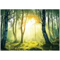WALLARENA - Fotobehang - 350x250 cm - 3D bos landschap met bomen en zon voor slaapkamer en woonkamer