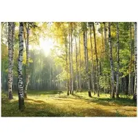 WALLARENA - Fotobehang - 150x105 cm - 3D boslandschap met bomen, natuur, groen voor slaapkamer en woonkamer