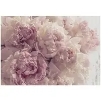 WALLARENA - Fotobehang - 150x105 cm - bloemen fototapet met roze pioenen voor slaapkamer en woonkamer