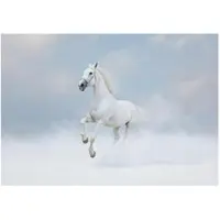 WALLARENA - Fotobehang - 300x210 cm - witte paard met wolken, dieren voor slaapkamer en woonkamer