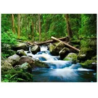 WALLARENA - Fotobehang - 300x210 cm - 3D waterval bos natuur voor slaapkamer woonkamer