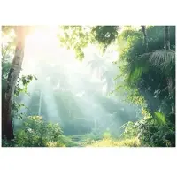 WALLARENA - Fotobehang - 200x140 cm - Fototapete van een bos met bomen, natuur voor slaapkamer en salon, vliesbehang