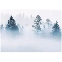 WALLARENA - Fotobehang - 400x280 cm - Fototapet met een mistig bos en bomen, perfect voor slaapkamer of woonkamer, gemaakt van vliesbehang