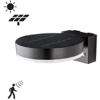 Leds Light LED buitenlamp op zonne-energie met 2 sensoren - Draadloos - Zwart