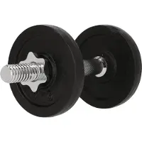 Endurance Dumbbell stang 'Dumbell 10 kg' zwart / zilver