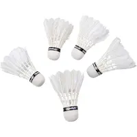 Eddy Toys Badminton Shuttles - 5x stuks - veren - wit