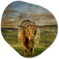 MuchoWow Organische wanddecoratie 60x60 cm - Organisch schilderij Schotse Hooglander - Gras - Berg - Muurdecoratie woonkamer - Kamer decoratie - Schilderijen - Muurcirkel aesthetic