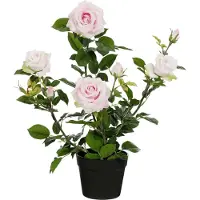 Mica Decorations Roos in pot - Kustplant - 45 x 35 x 62 cm - Roze