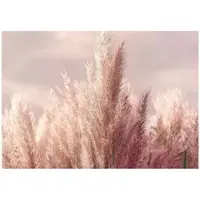 WALLARENA - Fotobehang - 150x105 cm - 3D natuur met rose tarwe voor slaapkamer en salon