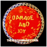 Import Damage and Joy