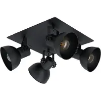 Eglo Plafondlamp Barnstaple 1