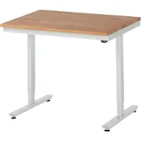 RAU werktafel Adlatus, elektrisch in hoogte verstelbaar, 25 mm geolied massief houten blad, tot 150 kg, B 1000 x D 800 x H 720-1120 mm, beuken/lichtgrijs