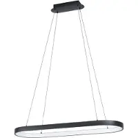 Eglo Codriales Hanglamp - LED - Ø 40.5 cm - Zwart