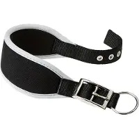 Ferplast Ergocomfort 25 Mm 46 Cm Hondenhalsband