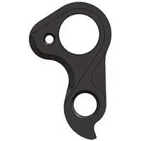Pilo D870 Colnago Derailleurhanger