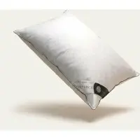 Presence Hoofdkussen Dons - 65% Ganzendons 60 x 70 cm