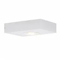 Wever & Ducre Leens Wandlamp Leens 1.0 | Aluminium Brushed