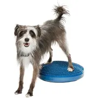 FitPAWS Balance Disc honden - Blauw