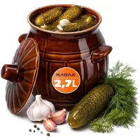 Kadax Aardewerkpan, keramische pot met handgrepen en deksel, vaatwasmachinebestendige aardepan, handgemaakte fermentatiepot van keramiek, inlegpot voor komkommers en zuurkool (2,7 l)