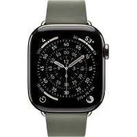 Apple Watch Strap - 42mm - Sage Gray - Modern Buckle - Large
