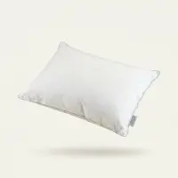Cloud Nine Hoofdkussen - Veren Cool Touch Technology 50 x 70 cm