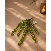 Home Senecio - Decoratieve - Kunst hangplant - Pearl - Groene Erwtjes - Lengte 30 cm