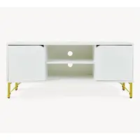 En.casa TV-kast 'Reyri' met 2 deuren en 2 open vakken, afmetingen 120 x 39 x 52 cm, metalen frame, wit/goudkleurig