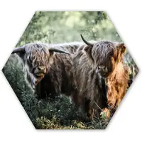 MuchoWow Hexagon wanddecoratie - Kunststof Wanddecoratie - Hexagon Schilderij - Schotse Hooglanders - Bos - Dieren - 75x65 cm
