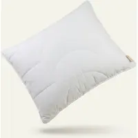 Dekbed Discounter Hoofdkussen - Bodyshape 50 x 60 cm