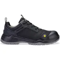 Portwest Composite Mesh Low Shoe S3s Esd Sr Fo Werkschoenen Fe11 | Maat: 38