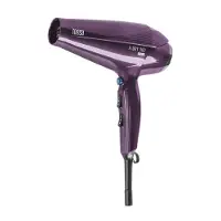 Uni-T Fohn, X-DROOG 300 2200W