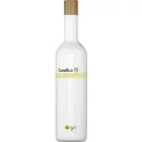 O'right Camellia Oil-Control Shampoo 400ml