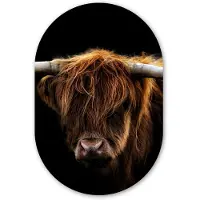 MuchoWow Muurovaal 40x60 cm - Ovale wanddecoratie Schotse Hooglander - Horens - Zwart - Dieren - Natuur - Wild - Koe - Ovalen schilderij - Muurdecoratie woonkamer - Kamer decoratie - Schilderijen - Wandcirkel