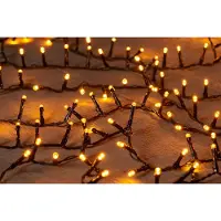 Coen Bakker Led Classic Ivy 2000L42M - 5Mm Concave Led - 4Mtr kerstverlichting Anna's Collection