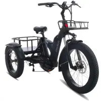Diablo Big Foot - Fatbike Driewieler - Mat Zwart