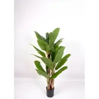 Oosterik Home Bananenboom 150 cm kunstplant