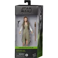 Hasbro Leia Return Of The Jedi Prinses Ewok Dorp Black Series Figuur