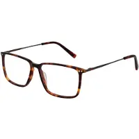 Funky Buddha Brilrand FBD1019 001 54