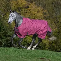 Bucas Freedom Turnout Raspberry-145 / 195-300 gr.-Framboos