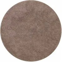vidaXL Antislip Shaggy Tapijt Bruin 160 x 160 cm PP