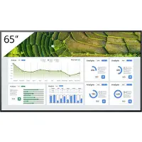 Sony 65" Pro BRAVIA LCD 440nit (3840 x 2160 Pixels, 65"), Digitale bewegwijzering, Zwart