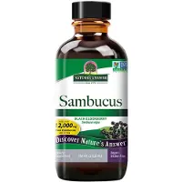 Natures Answer Sambucus Original (120 Milliliter)