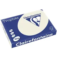 Clairefontaine Parelgrijs A3 Gekleurd papier 160 grams (250 vel)