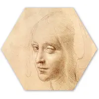 MuchoWow Hexagon wanddecoratie - Kunststof Wanddecoratie - Hexagon Schilderij - Schets - Leonardo da Vinci - 120x103 cm