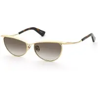 Nina Ricci Snr406 Cat Eye Dames Zonnebril