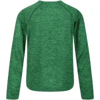 Regatta Burnlee Roam Free Graphic Print Marl T-Shirt voor kinderen/Kinderen (Veld Groen)