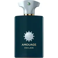Amouage Enclave EDP 100 ml
